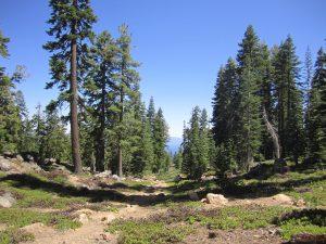 tahoetrails